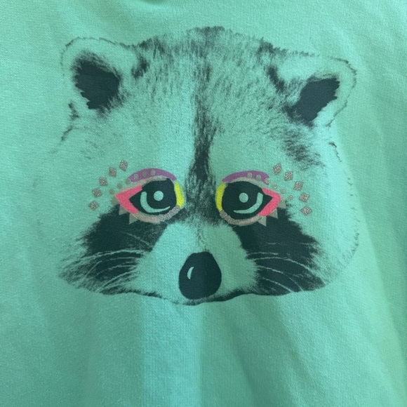 CAT & JACK Girls Mint Green Graphic Hoodie Raccoon Size 14/16 - Picture 2 of 8